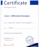 Icon-Infiltration Concept