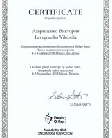 Сертификат участника «Концепция оклюзионной плоскости»