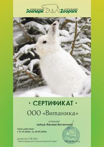 Сертификат Видео