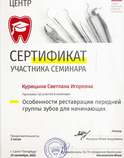 Сертификат дополнительного образования специалиста Курицыной С.И.