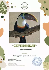 Витаника заботится о туканчике!