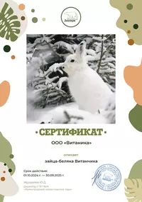 Витаника заботится о зайчике Витанчике!