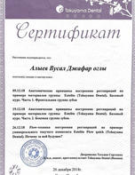 Сертификат посещения лекции и мастер-класса Алыева В.